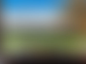 McGrath Rural: Global Connections Meet Hunter Valley Expertise