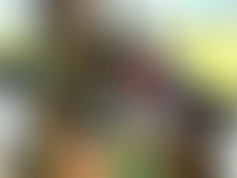 2. Fat Cow Hunter Valley