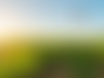 Wheelchair accessibility to reach new heights in the Hunter Valley