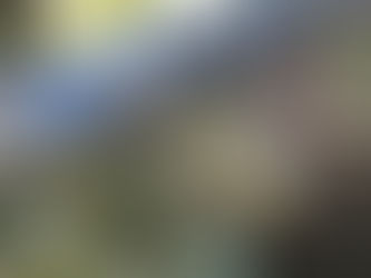 Ceramic Totems with Lisa Hölzl