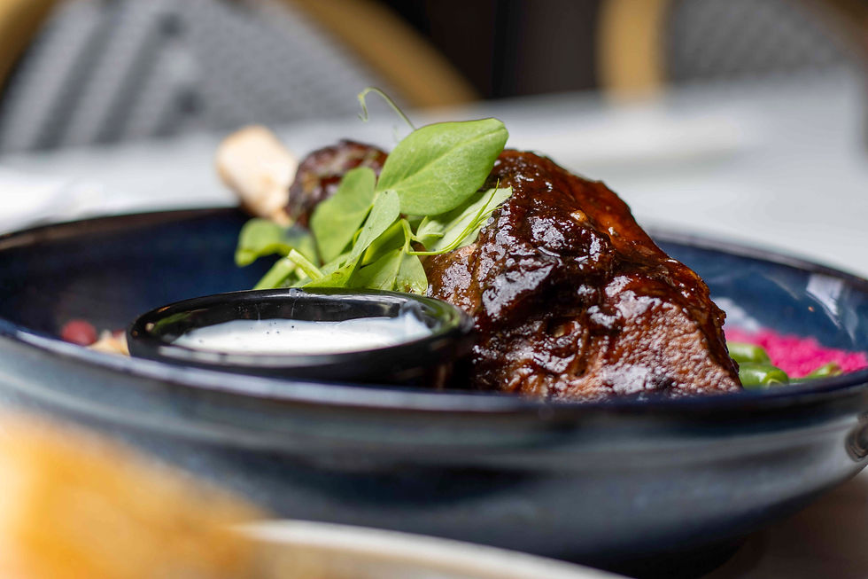lamb shank