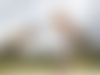 Dinosaurs, Dragons & Easter Magic