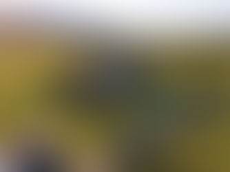 Ben Ean: Where History Meets Hospitality