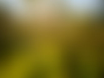 Spring Sips Worth Savouring