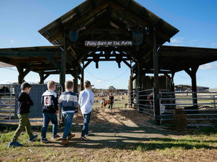 Escape Winter's Chill at Hunter Valley Resort + Farm
