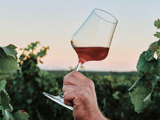 The Red Renaissance Our Enduring Wine Legacy