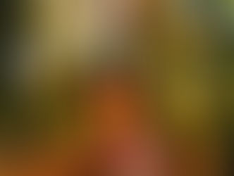 Fall into flavour…Autumn in a glass