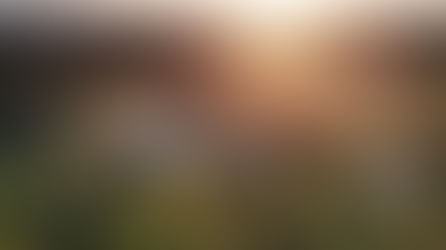 Summer Spirit: Latitude 32 Wines Welcomes the Festive Season