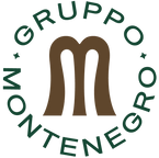 distillerie.it-montenegro-logo.png