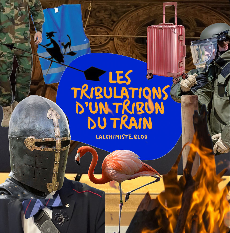 Sur un air de Cha Cha Cha, clowns, bourrins et gilets bleus - perturbateurs endoctrinés, brasier sourd