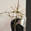 Thumbnail: THORNED ORNAMENTATION
