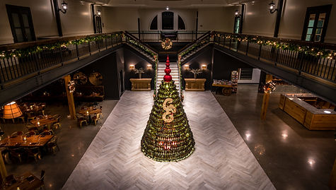 chateau-tree_high-angle_DSC00479_1920.jpg