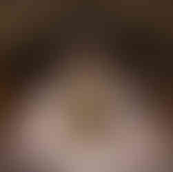 Wine bottle tree at Chateau Elan Winery