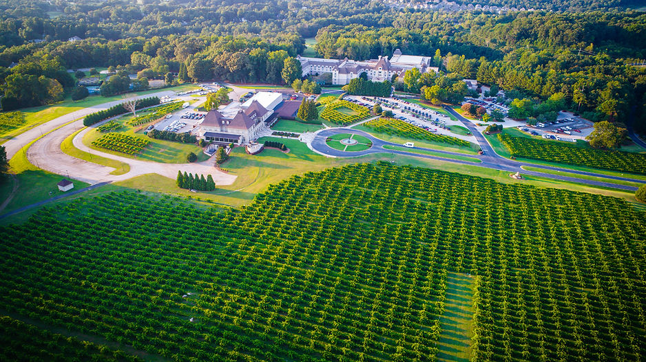 chateau-aerial-159_1920.jpg