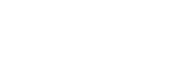 GovSpark logo reverse.png