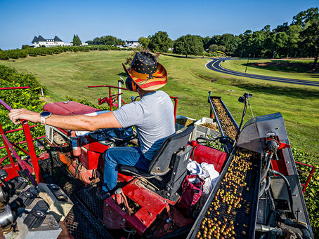 A high-tech harvester at Chateau Elan.