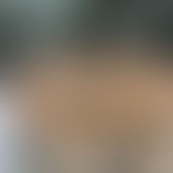 （118）ZENGOVL Modern Light Fixture Hand Blown Glass Chandelier Ceiling Lighting