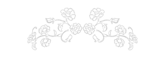 8f79377be468c6eed15f06857f4ea0a7 - Edite
