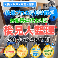 wix マックス携帯版 後見人整理.png