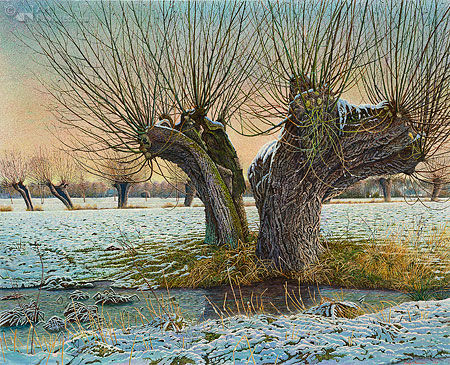 Drago Pecenica Knotwilgen in winter
