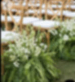 Wedding Fern Plants With White Flowers Added