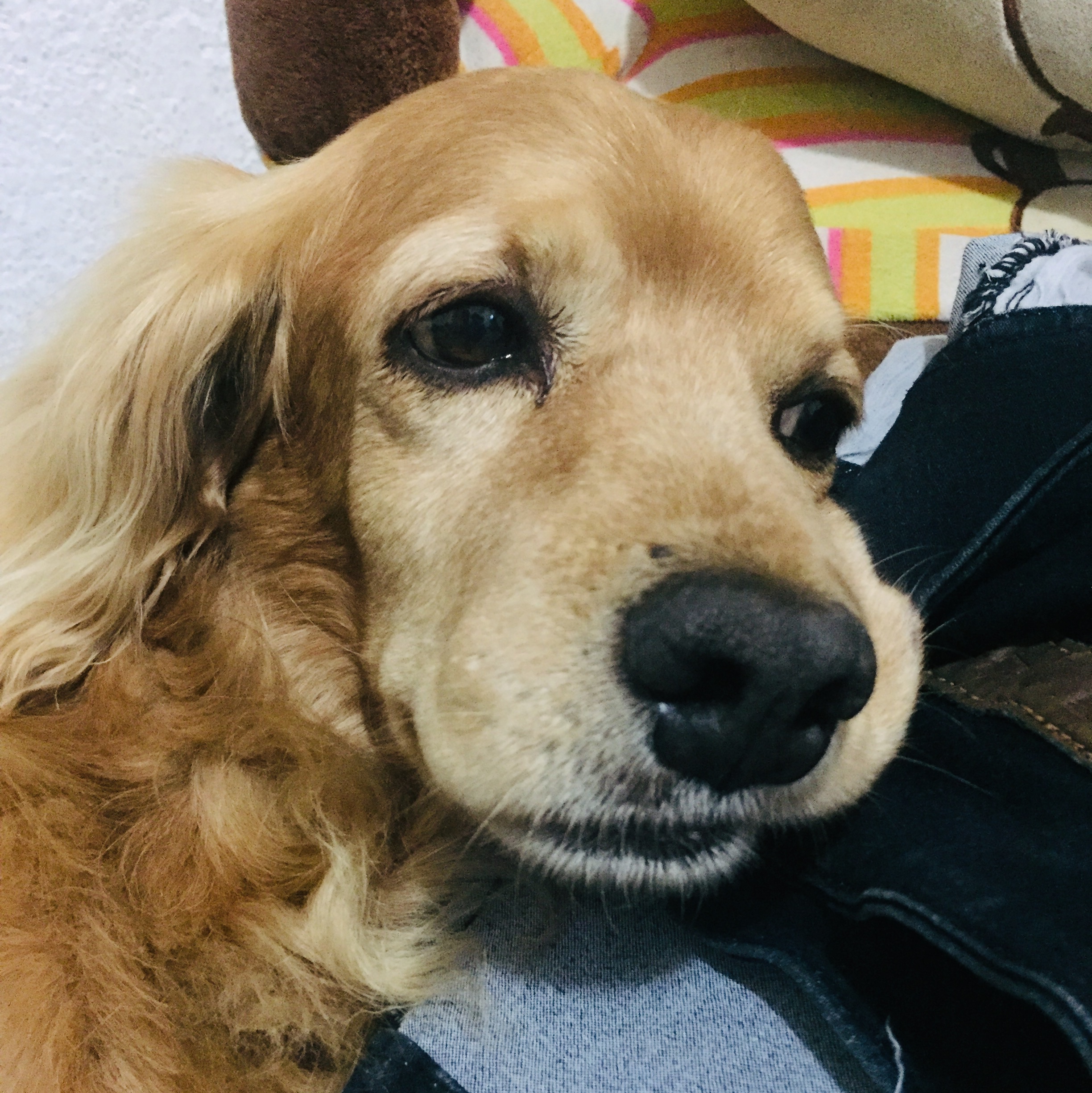 Muñeco