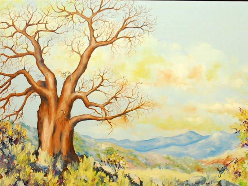 Baobab Landscape