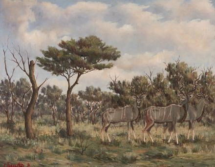 Bushveld Landscape with Kudus