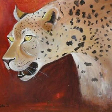 Leopard
