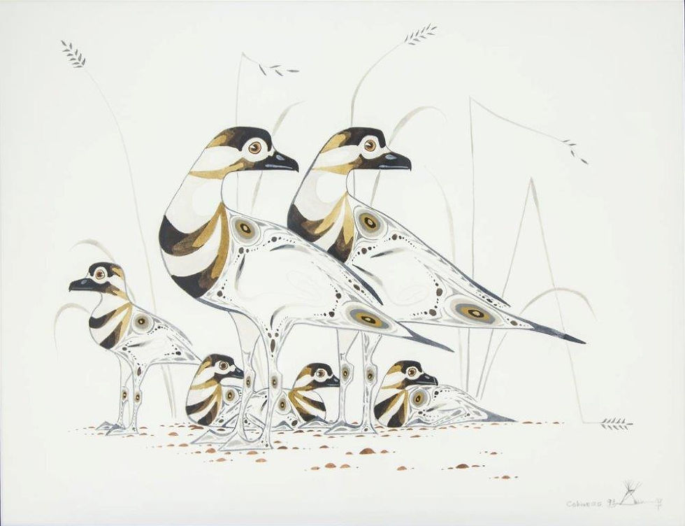 Untitled - Birds and Young