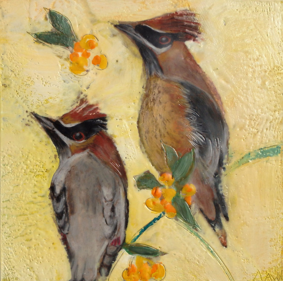 Glance of a Cedar Waxling