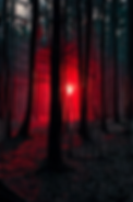 Tree Background.png