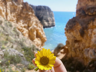 Exploring the nature parks of the Algarve, Portugal