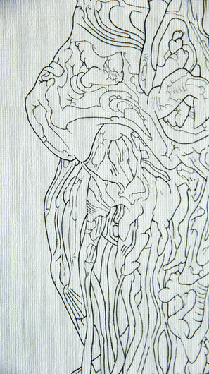 organo-1.4.jpg