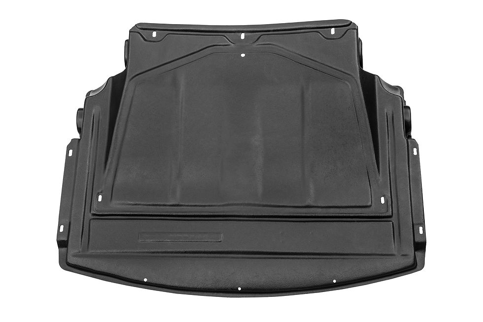 BMW 3 (E46) variklio apsauga