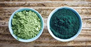 Miniature : Chlorella bio / 2x500 comp. de 400mg