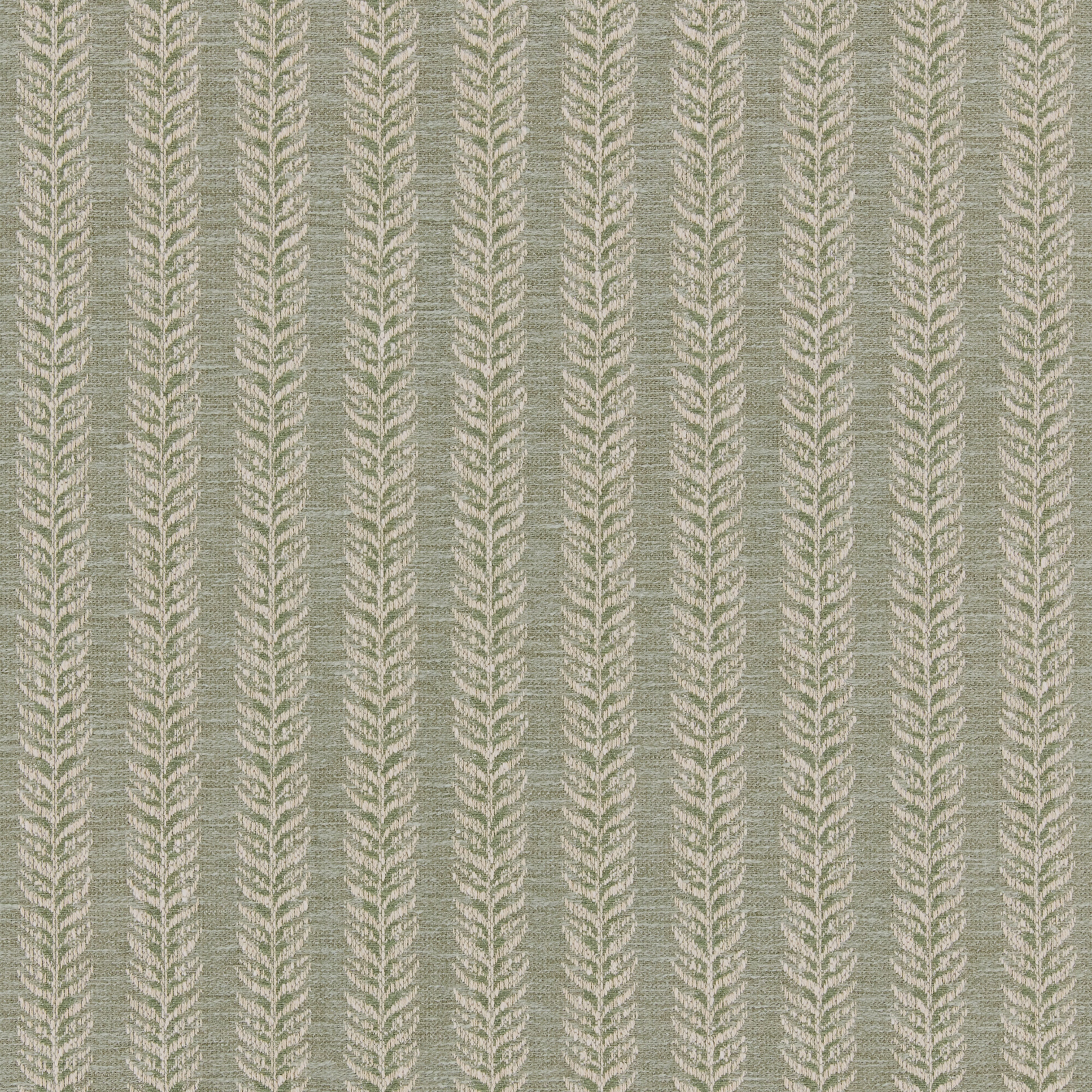 Dulcie-Sage