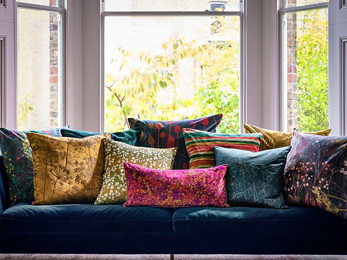 Clarissa Hulse - Cushion Cameo.jpg