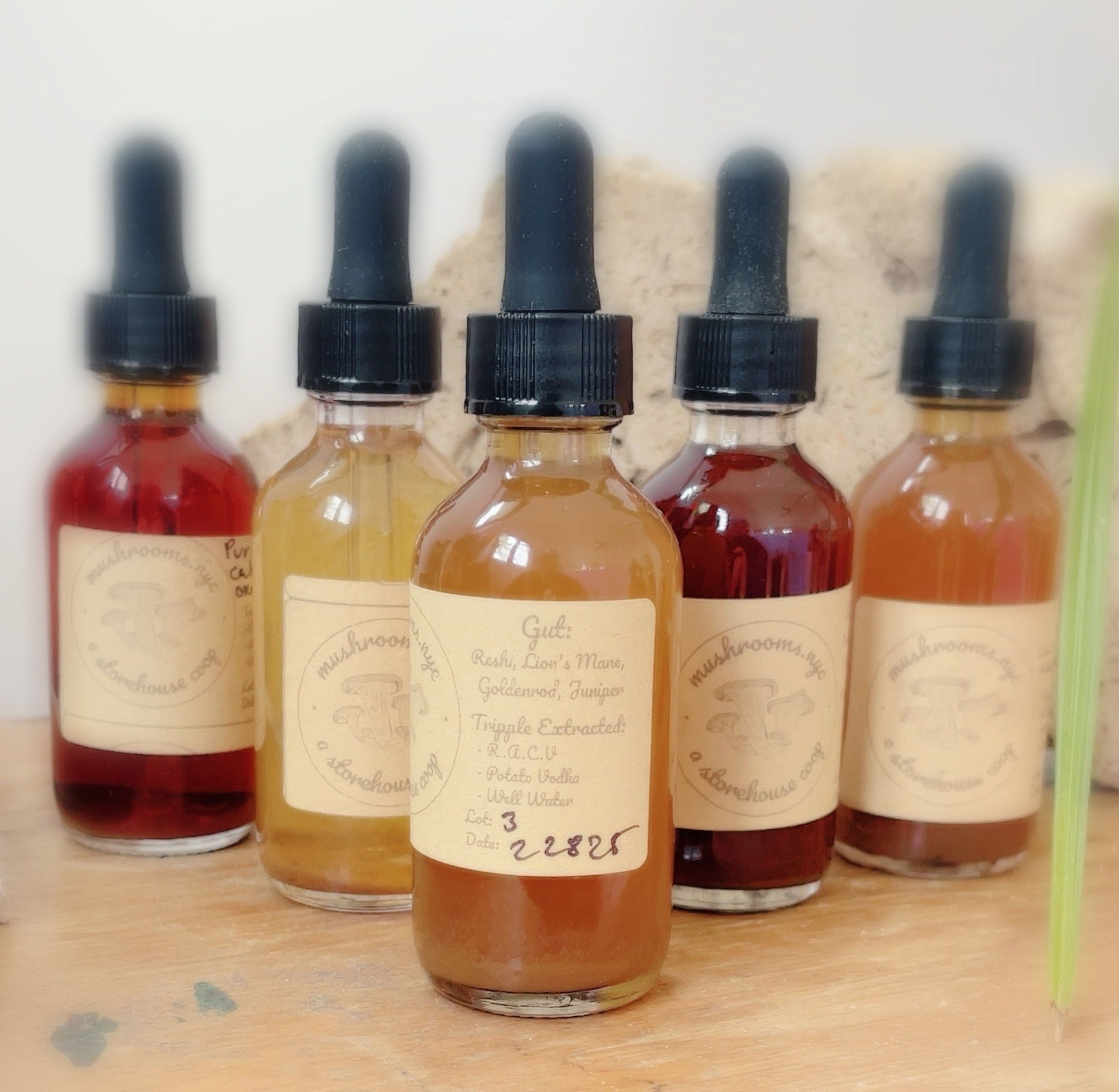 Gut Health Mushroom Tincure