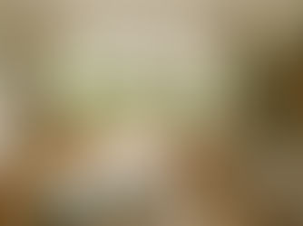 What She Really Wants From a School