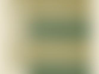 5 STEPS TO GET STARTED WITH MINIMALIST FINANCE