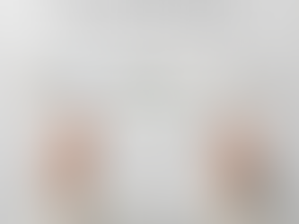 The Environmental and Emotional Costs of Ownership