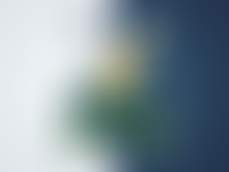 Your Secret Retirement Account: A Minimalist's Guide to the HSA