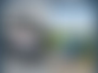 Why Most People Overspend on Cars (and How Minimalists Think Differently)