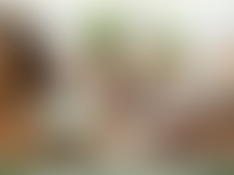 Minimalism and Sustainability: Why Owning Less Is Greener