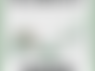 Eco-Friendly Swaps That Save You Money