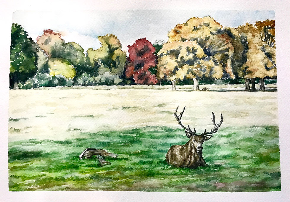 Richmond Park