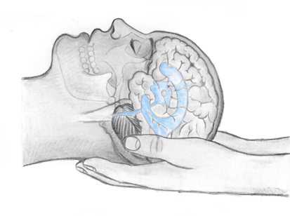 Craniosacral-Therapie in Berlin-Pankow in Praxis Anne Przybyla, Heilpraktikerin