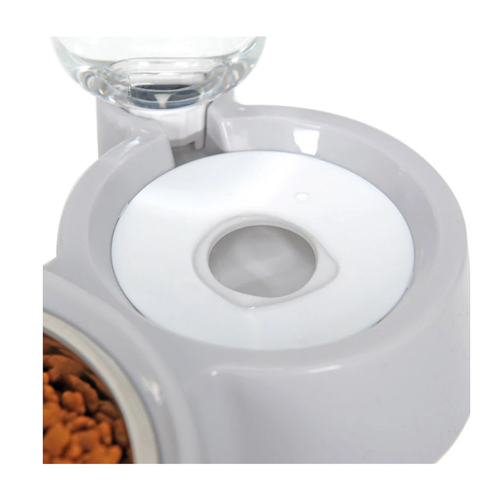 Miniatura: Plato Doble - Pet Bowl + Botella