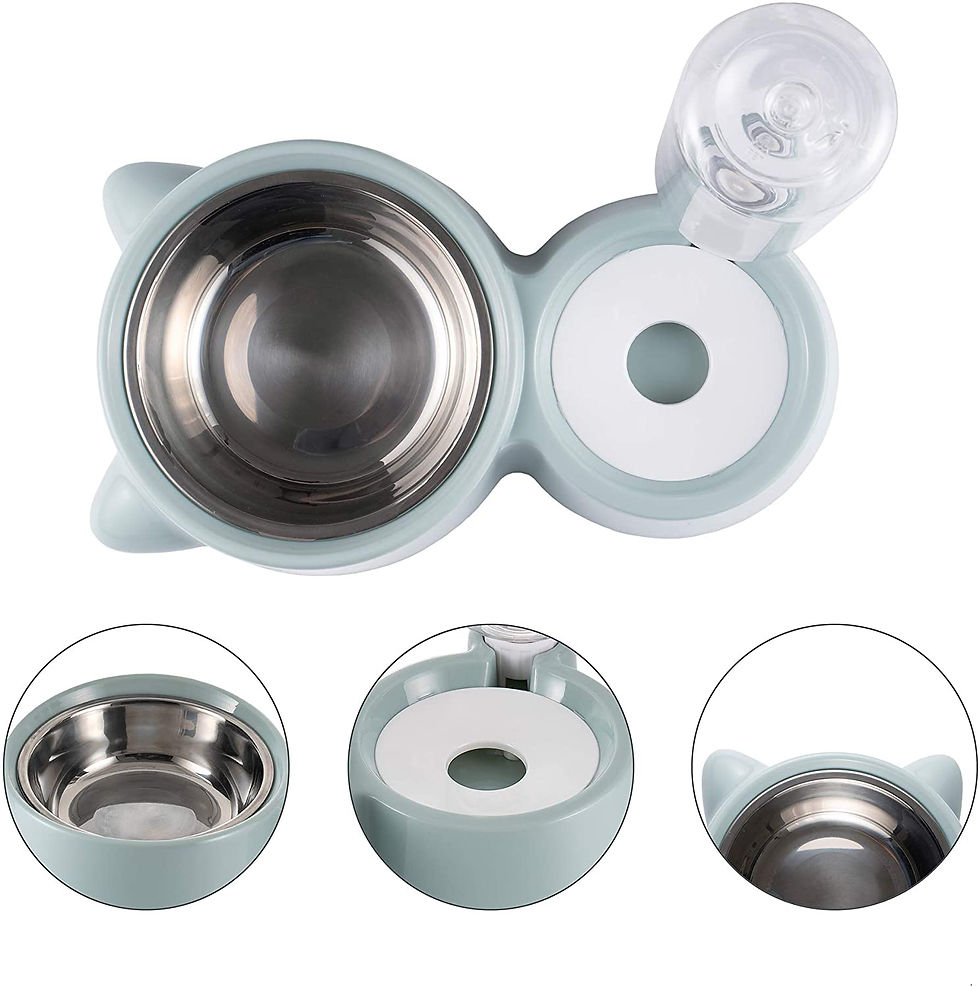 Miniatura: Plato Doble - Pet Bowl + Botella